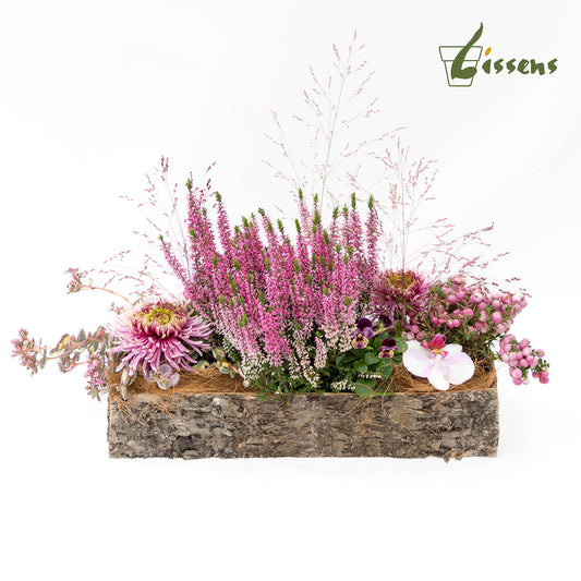 Bloemstuk 17 Roze berkplantbak